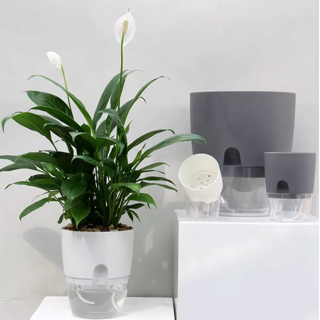 AquaBloom Self Watering Planter