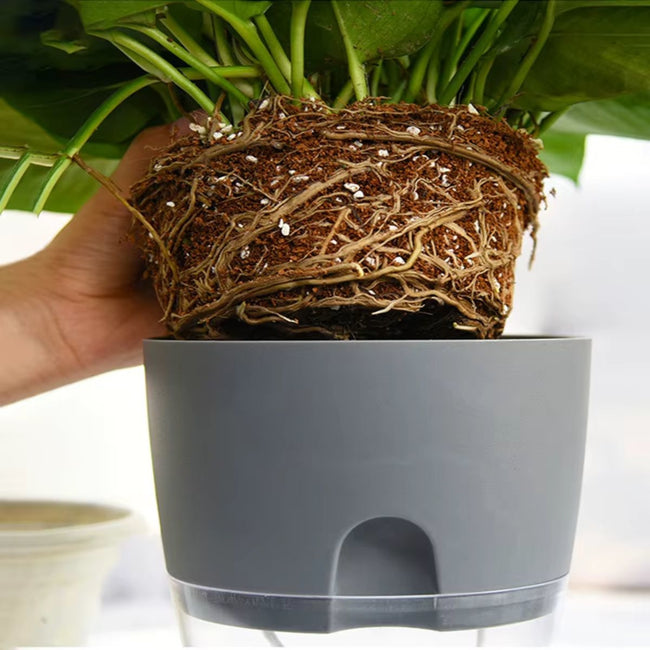 AquaBloom Self Watering Planter