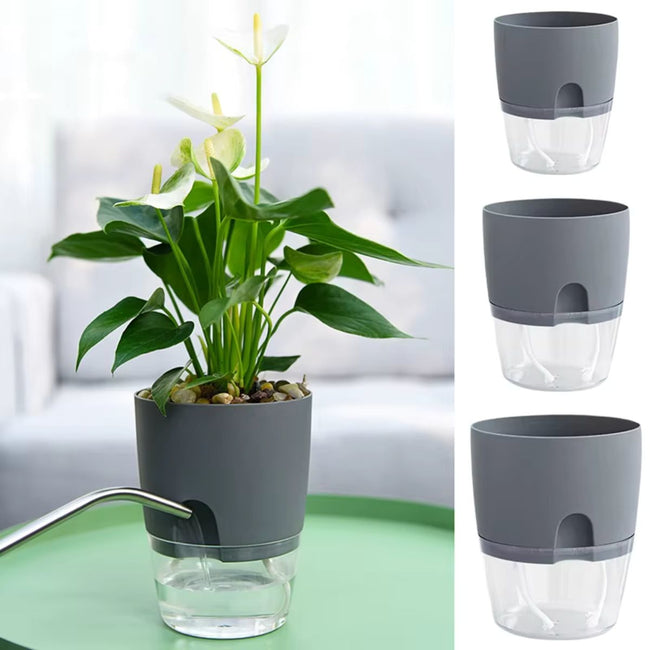 AquaBloom Self Watering Planter