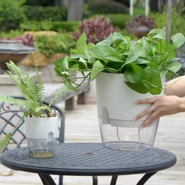 AquaBloom Self Watering Planter