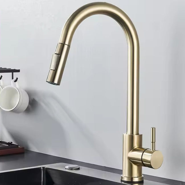 AquaGlide Pull-Out Kitchen Mixer Tap with Flexible Spray