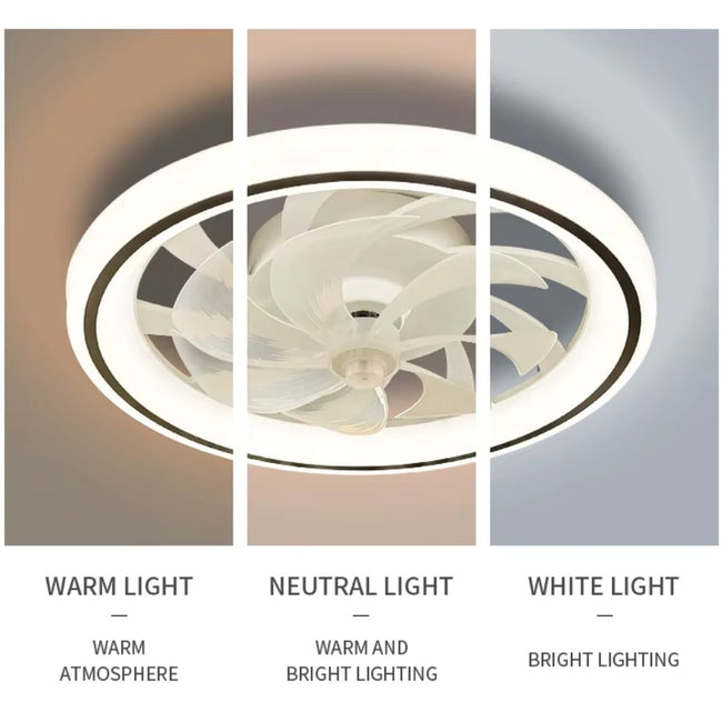 Breeze Smart Ceiling Fan with LED Light