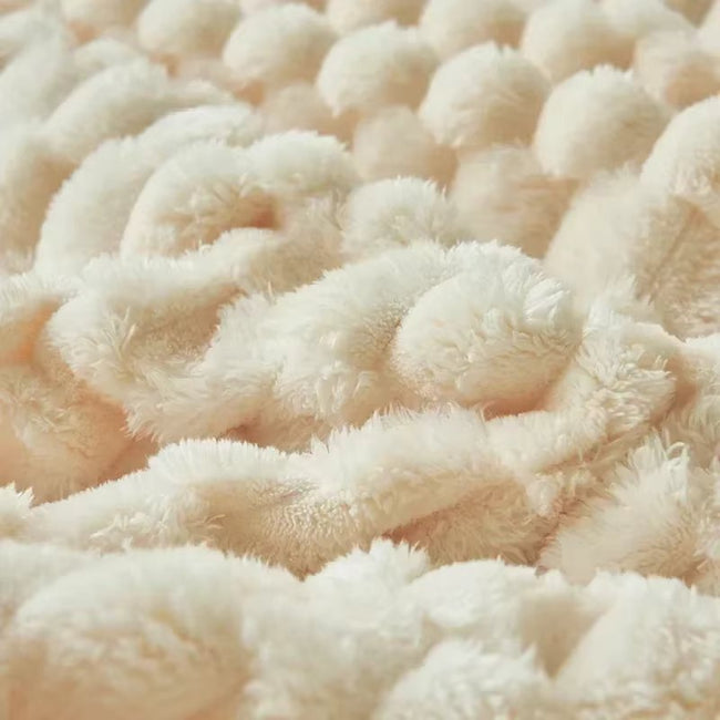 CozyPlush Velvet Warm Blanket