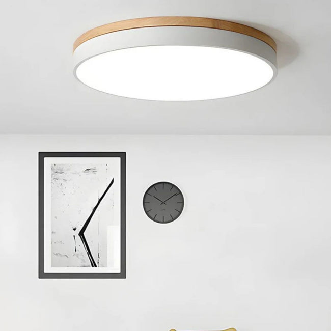 HorizonHue Round LED Ceiling Light