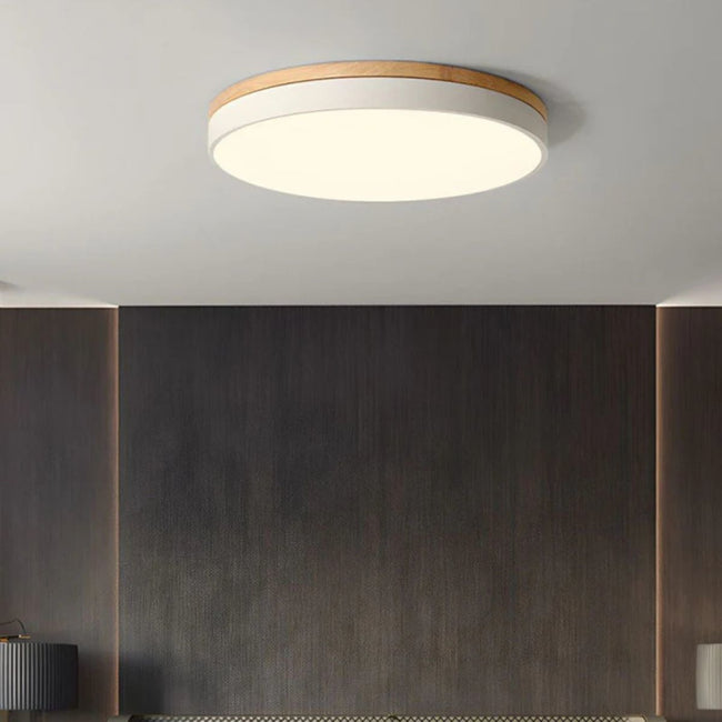 HorizonHue Round LED Ceiling Light