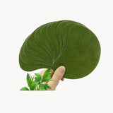 NaturRelief - Pain Patches