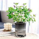 AquaBloom Pot Planter