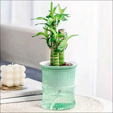 AquaBloom Pot Planter