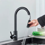 AquaGlide Pull-Out Kitchen Mixer Tap with Flexible Spray