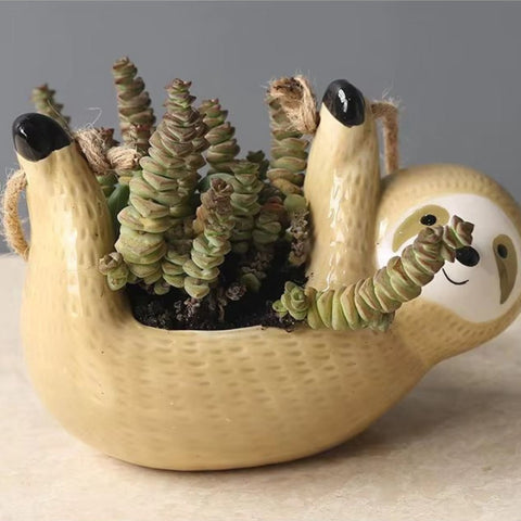 Hanging Scindapsus Plant Pot
