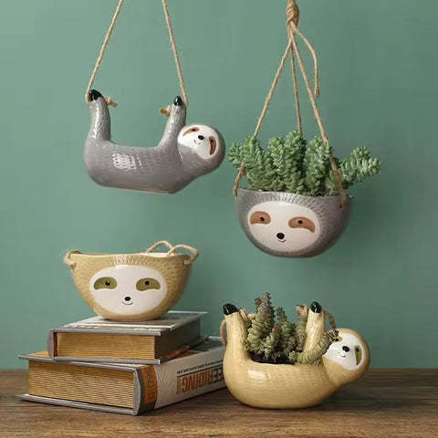 Hanging Scindapsus Plant Pot