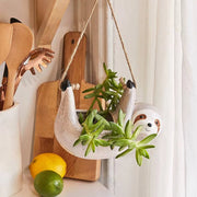 Hanging Scindapsus Plant Pot