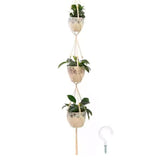 EcoHanger Hanging Plant Holder