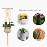 EcoHanger Hanging Plant Holder