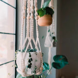 EcoHanger Hanging Plant Holder