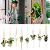 EcoHanger Hanging Plant Holder