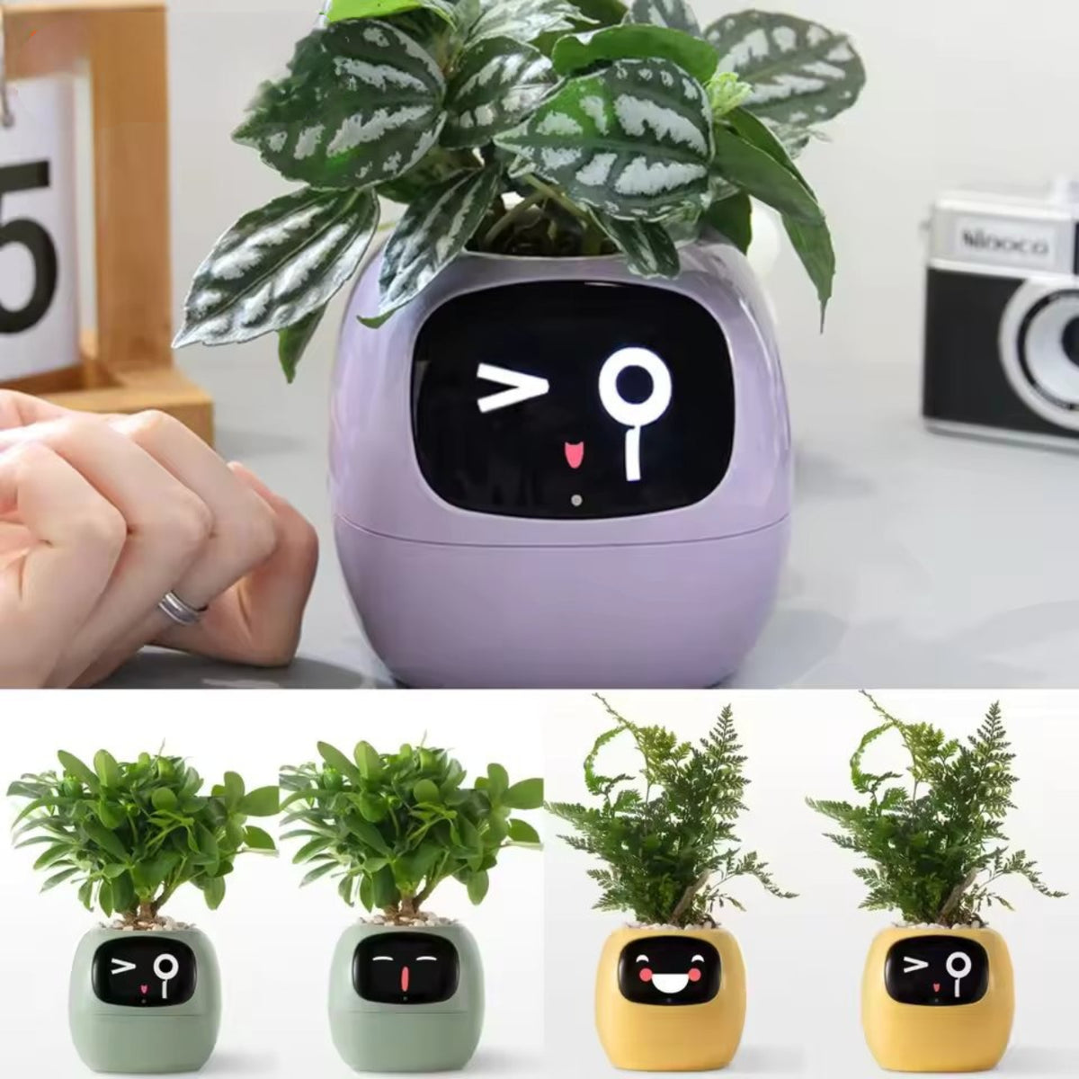 FloraSense Smart Plant Pot with AI Sensors– Verneza