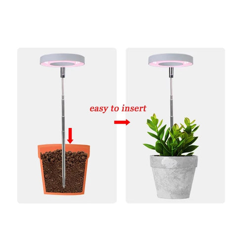 GrowPro Indoor Solar Grow Light for Plants
