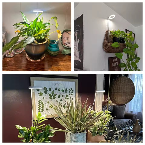 GrowPro Indoor Solar Grow Light for Plants