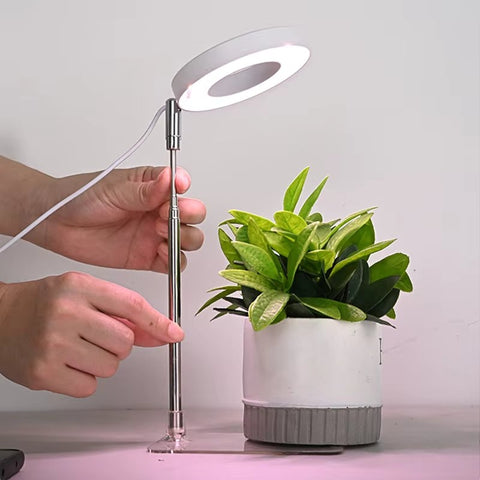 GrowPro Indoor Solar Grow Light for Plants