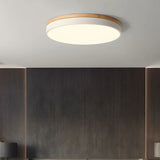 HorizonHue Round LED Ceiling Light