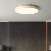 HorizonHue Round LED Ceiling Light