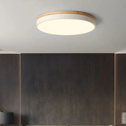 HorizonHue Round LED Ceiling Light