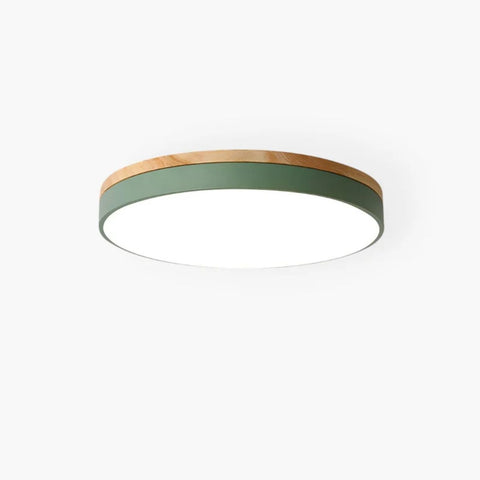 HorizonHue Round LED Ceiling Light