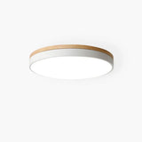 HorizonHue Round LED Ceiling Light