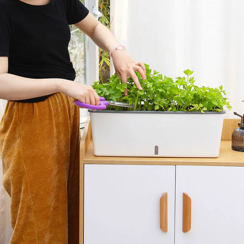 HydroBloom Self Watering Planter