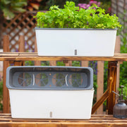 HydroBloom Self Watering Planter