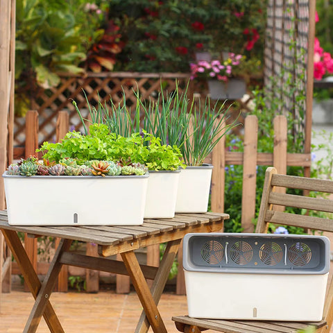 HydroBloom Self Watering Planter