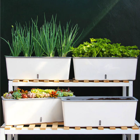 HydroBloom Self Watering Planter