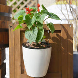 HydroHold Wall Plant Pot