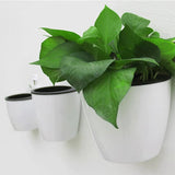 HydroHold Wall Plant Pot