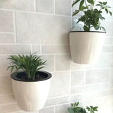 HydroHold Wall Plant Pot