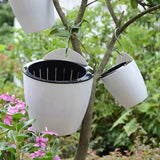 HydroHold Wall Plant Pot