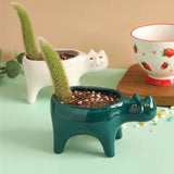 KittyBloom Ceramic Cat Plant Pot and Planter