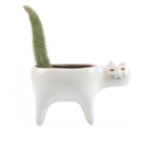 KittyBloom Ceramic Cat Plant Pot and Planter