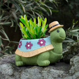 Turtley Cute Plant Pot Planter