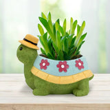 Turtley Cute Plant Pot Planter