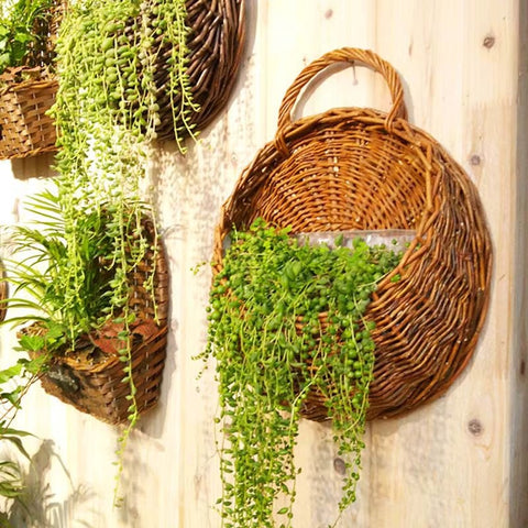 VineCraft Hanging Basket Planter