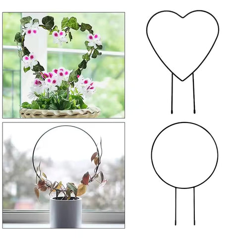 VineHaven Plant Support Stakes