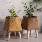 WeaveNest Plant Pot Planter