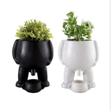 WhimsySprout Peeing Plant Pot