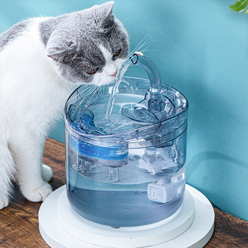 Smart Cat Water Fountain Verneza